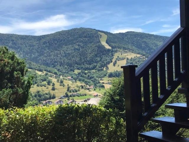 Chalet Bois Vue Panoramique : 2 Logements Et Sauna Bussang Exterior foto