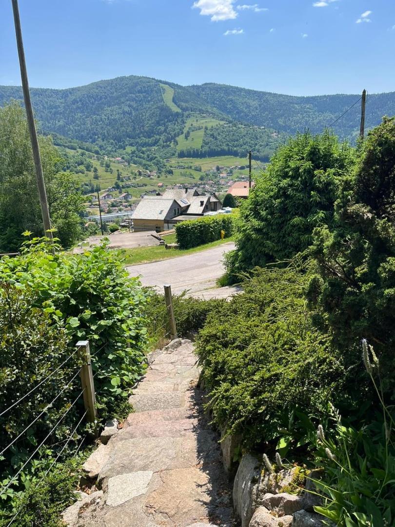 Chalet Bois Vue Panoramique : 2 Logements Et Sauna Bussang Exterior foto